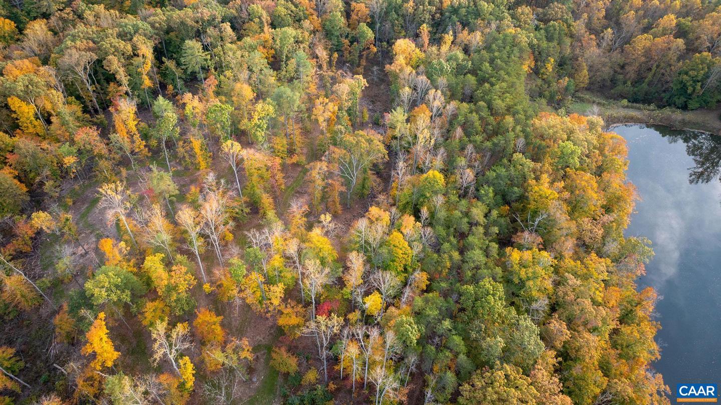 TBD SHADWELL RD, KESWICK, Virginia 22947, ,Land,For Sale,TBD SHADWELL RD,669249 MLS # 669249 TBD SHADWELL RD, KESWICK, Virginia 22947, ,Land,For Sale,TBD SHADWELL RD,669249 MLS # 669249