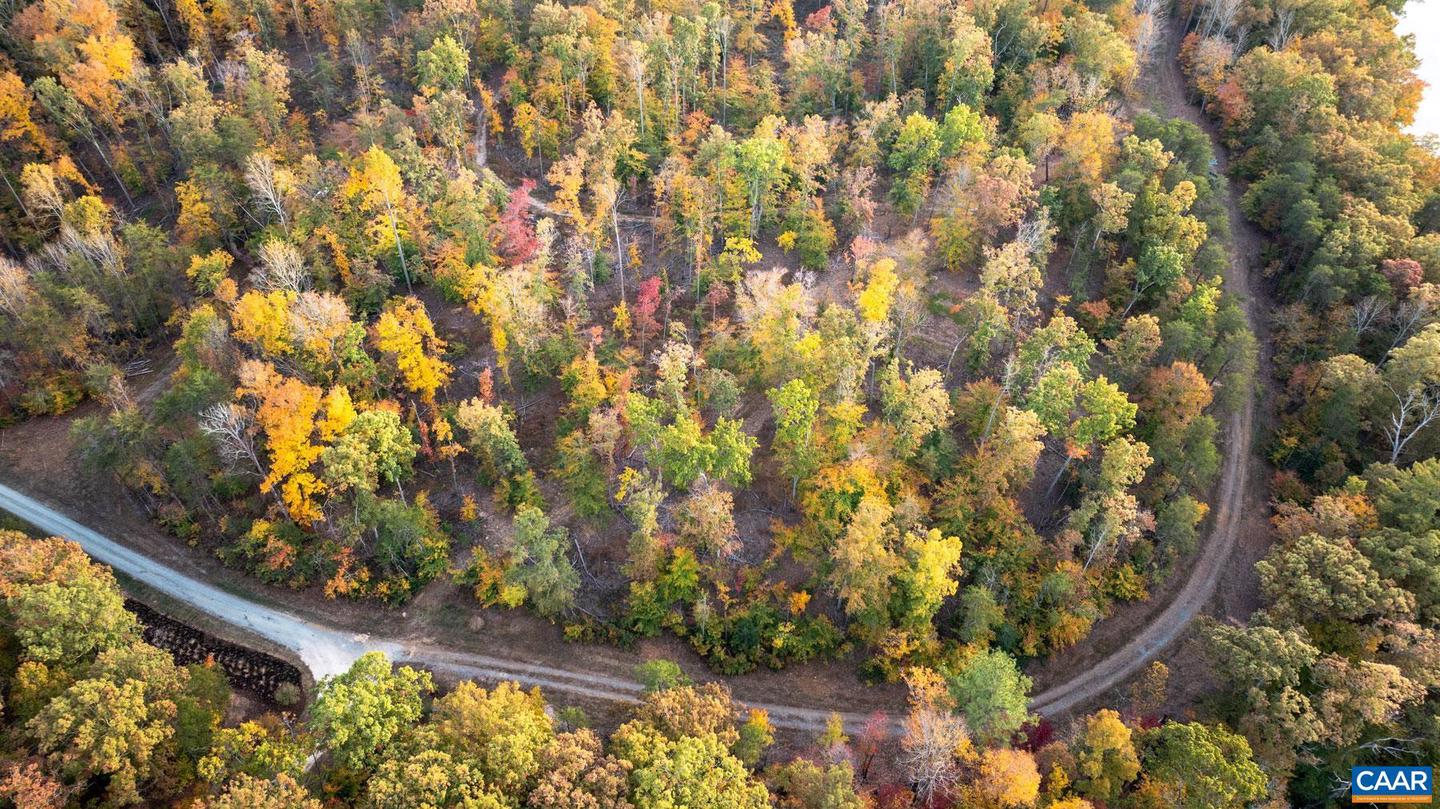 TBD SHADWELL RD, KESWICK, Virginia 22947, ,Land,For Sale,TBD SHADWELL RD,669249 MLS # 669249 TBD SHADWELL RD, KESWICK, Virginia 22947, ,Land,For Sale,TBD SHADWELL RD,669249 MLS # 669249