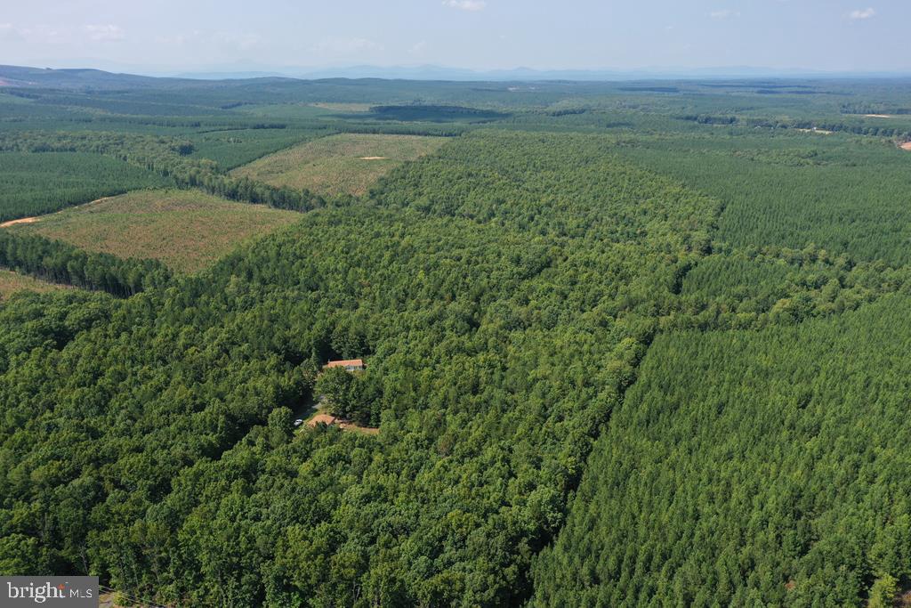 WEST JAMES ANDERSON HWY, GLADSTONE, Virginia 24553, ,Farm,For Sale,WEST JAMES ANDERSON HWY,VABH2000220 MLS # VABH2000220 WEST JAMES ANDERSON HWY, GLADSTONE, Virginia 24553, ,Farm,For Sale,WEST JAMES ANDERSON HWY,VABH2000220 MLS # VABH2000220