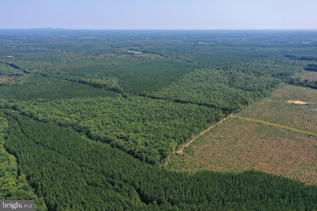 WEST JAMES ANDERSON HWY, GLADSTONE, Virginia 24553, ,Farm,For Sale,WEST JAMES ANDERSON HWY,VABH2000220 MLS # VABH2000220 WEST JAMES ANDERSON HWY, GLADSTONE, Virginia 24553, ,Farm,For Sale,WEST JAMES ANDERSON HWY,VABH2000220 MLS # VABH2000220