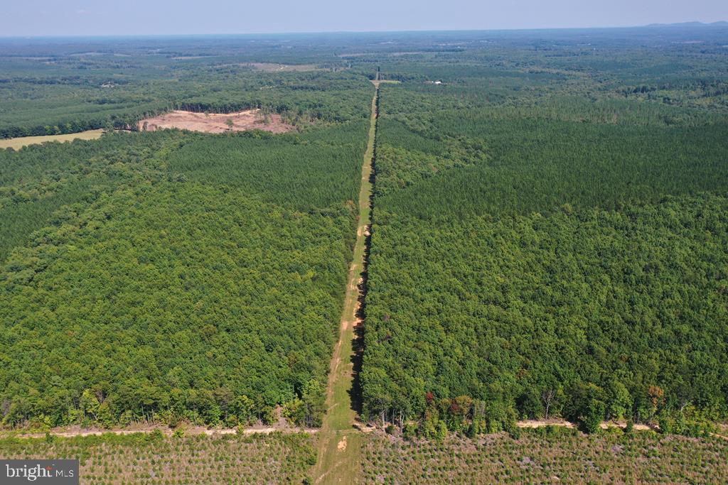 WEST JAMES ANDERSON HWY, GLADSTONE, Virginia 24553, ,Farm,For Sale,WEST JAMES ANDERSON HWY,VABH2000220 MLS # VABH2000220 WEST JAMES ANDERSON HWY, GLADSTONE, Virginia 24553, ,Farm,For Sale,WEST JAMES ANDERSON HWY,VABH2000220 MLS # VABH2000220