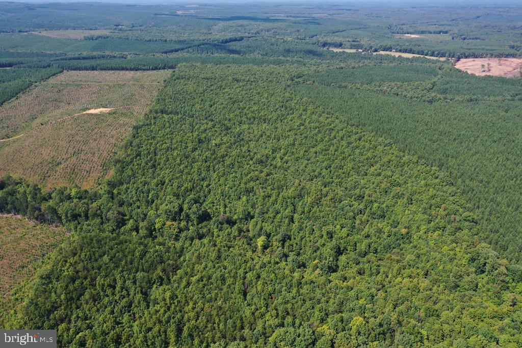 WEST JAMES ANDERSON HWY, GLADSTONE, Virginia 24553, ,Farm,For Sale,WEST JAMES ANDERSON HWY,VABH2000220 MLS # VABH2000220 WEST JAMES ANDERSON HWY, GLADSTONE, Virginia 24553, ,Farm,For Sale,WEST JAMES ANDERSON HWY,VABH2000220 MLS # VABH2000220