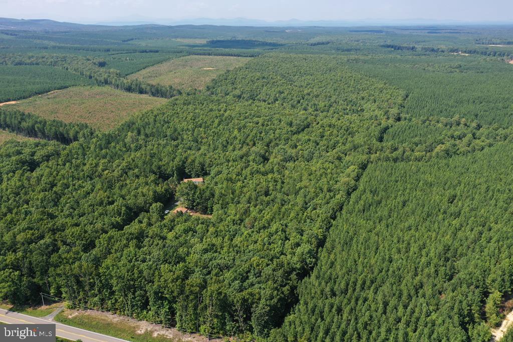 WEST JAMES ANDERSON HWY, GLADSTONE, Virginia 24553, ,Farm,For Sale,WEST JAMES ANDERSON HWY,VABH2000220 MLS # VABH2000220 WEST JAMES ANDERSON HWY, GLADSTONE, Virginia 24553, ,Farm,For Sale,WEST JAMES ANDERSON HWY,VABH2000220 MLS # VABH2000220