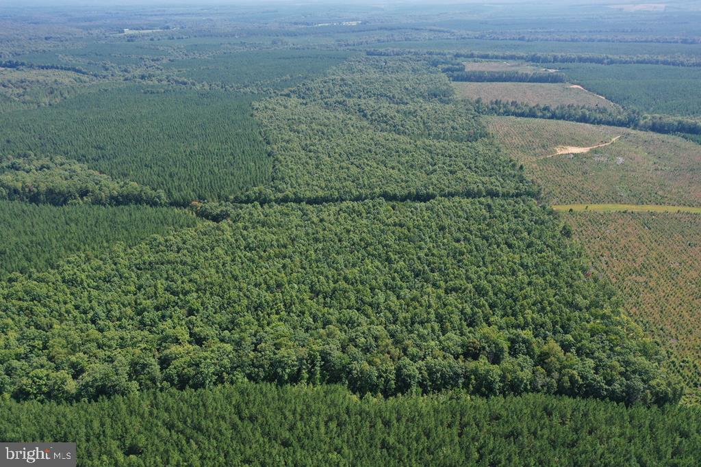 WEST JAMES ANDERSON HWY, GLADSTONE, Virginia 24553, ,Farm,For Sale,WEST JAMES ANDERSON HWY,VABH2000220 MLS # VABH2000220 WEST JAMES ANDERSON HWY, GLADSTONE, Virginia 24553, ,Farm,For Sale,WEST JAMES ANDERSON HWY,VABH2000220 MLS # VABH2000220