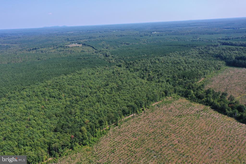 WEST JAMES ANDERSON HWY, GLADSTONE, Virginia 24553, ,Farm,For Sale,WEST JAMES ANDERSON HWY,VABH2000220 MLS # VABH2000220 WEST JAMES ANDERSON HWY, GLADSTONE, Virginia 24553, ,Farm,For Sale,WEST JAMES ANDERSON HWY,VABH2000220 MLS # VABH2000220
