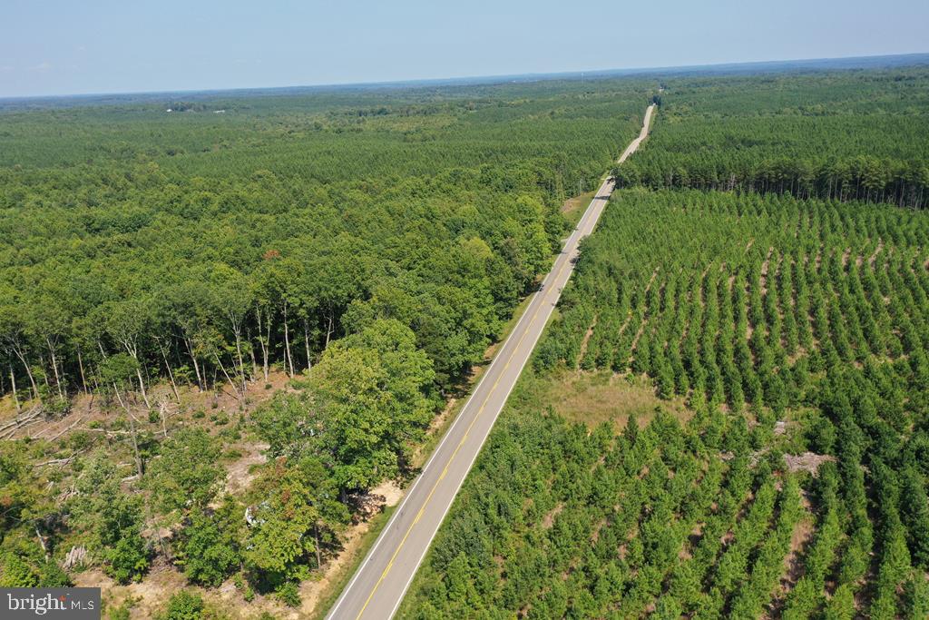 WEST JAMES ANDERSON HWY, GLADSTONE, Virginia 24553, ,Farm,For Sale,WEST JAMES ANDERSON HWY,VABH2000220 MLS # VABH2000220 WEST JAMES ANDERSON HWY, GLADSTONE, Virginia 24553, ,Farm,For Sale,WEST JAMES ANDERSON HWY,VABH2000220 MLS # VABH2000220