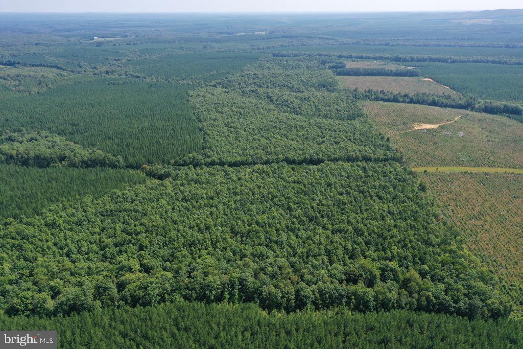 WEST JAMES ANDERSON HWY, GLADSTONE, Virginia 24553, ,Farm,For Sale,WEST JAMES ANDERSON HWY,VABH2000220 MLS # VABH2000220 WEST JAMES ANDERSON HWY, GLADSTONE, Virginia 24553, ,Farm,For Sale,WEST JAMES ANDERSON HWY,VABH2000220 MLS # VABH2000220