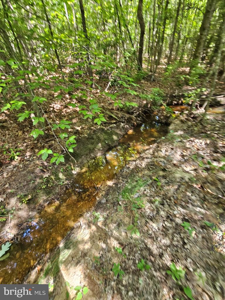 WEST JAMES ANDERSON HWY, GLADSTONE, Virginia 24553, ,Farm,For Sale,WEST JAMES ANDERSON HWY,VABH2000220 MLS # VABH2000220 WEST JAMES ANDERSON HWY, GLADSTONE, Virginia 24553, ,Farm,For Sale,WEST JAMES ANDERSON HWY,VABH2000220 MLS # VABH2000220