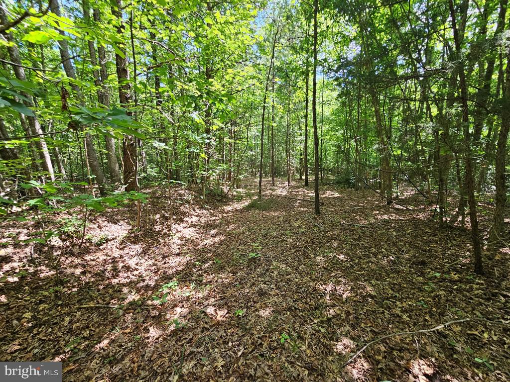 WEST JAMES ANDERSON HWY, GLADSTONE, Virginia 24553, ,Farm,For Sale,WEST JAMES ANDERSON HWY,VABH2000220 MLS # VABH2000220 WEST JAMES ANDERSON HWY, GLADSTONE, Virginia 24553, ,Farm,For Sale,WEST JAMES ANDERSON HWY,VABH2000220 MLS # VABH2000220
