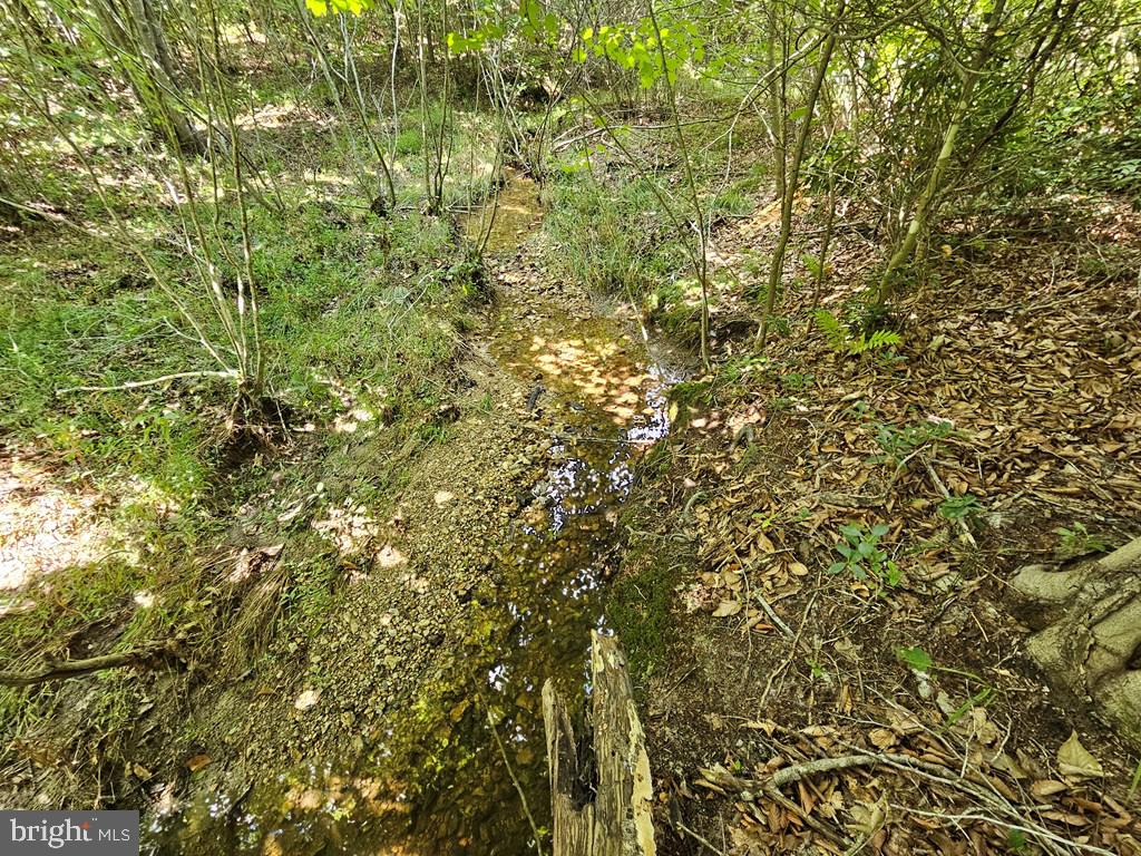 WEST JAMES ANDERSON HWY, GLADSTONE, Virginia 24553, ,Farm,For Sale,WEST JAMES ANDERSON HWY,VABH2000220 MLS # VABH2000220 WEST JAMES ANDERSON HWY, GLADSTONE, Virginia 24553, ,Farm,For Sale,WEST JAMES ANDERSON HWY,VABH2000220 MLS # VABH2000220