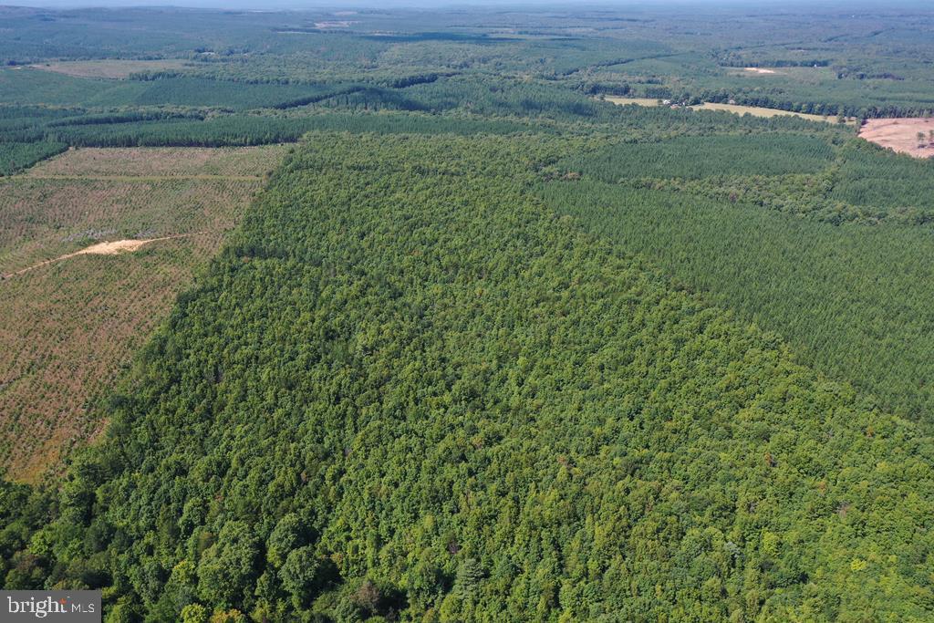WEST JAMES ANDERSON HWY, GLADSTONE, Virginia 24553, ,Farm,For Sale,WEST JAMES ANDERSON HWY,VABH2000220 MLS # VABH2000220 WEST JAMES ANDERSON HWY, GLADSTONE, Virginia 24553, ,Farm,For Sale,WEST JAMES ANDERSON HWY,VABH2000220 MLS # VABH2000220