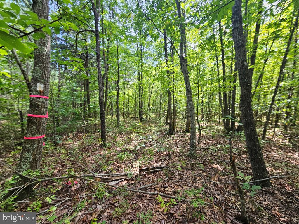 WEST JAMES ANDERSON HWY, GLADSTONE, Virginia 24553, ,Farm,For Sale,WEST JAMES ANDERSON HWY,VABH2000220 MLS # VABH2000220 WEST JAMES ANDERSON HWY, GLADSTONE, Virginia 24553, ,Farm,For Sale,WEST JAMES ANDERSON HWY,VABH2000220 MLS # VABH2000220