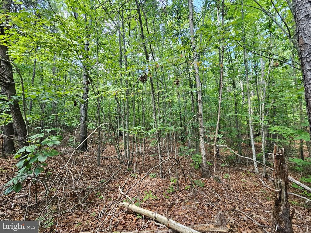 WEST JAMES ANDERSON HWY, GLADSTONE, Virginia 24553, ,Farm,For Sale,WEST JAMES ANDERSON HWY,VABH2000220 MLS # VABH2000220 WEST JAMES ANDERSON HWY, GLADSTONE, Virginia 24553, ,Farm,For Sale,WEST JAMES ANDERSON HWY,VABH2000220 MLS # VABH2000220