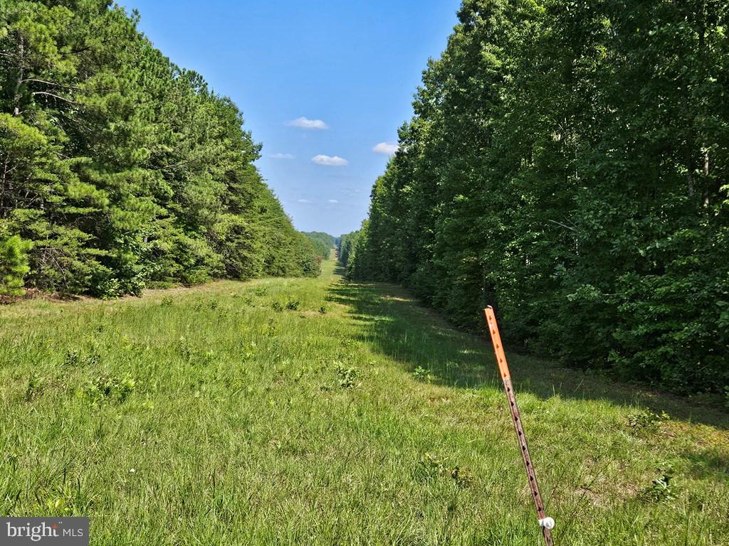 WEST JAMES ANDERSON HWY, GLADSTONE, Virginia 24553, ,Farm,For Sale,WEST JAMES ANDERSON HWY,VABH2000220 MLS # VABH2000220 WEST JAMES ANDERSON HWY, GLADSTONE, Virginia 24553, ,Farm,For Sale,WEST JAMES ANDERSON HWY,VABH2000220 MLS # VABH2000220