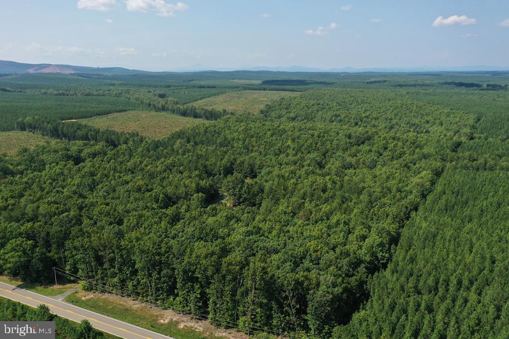 WEST JAMES ANDERSON HWY, GLADSTONE, Virginia 24553, ,Farm,For Sale,WEST JAMES ANDERSON HWY,VABH2000220 MLS # VABH2000220 WEST JAMES ANDERSON HWY, GLADSTONE, Virginia 24553, ,Farm,For Sale,WEST JAMES ANDERSON HWY,VABH2000220 MLS # VABH2000220