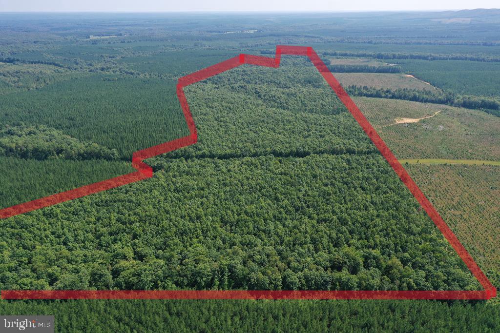 WEST JAMES ANDERSON HWY, GLADSTONE, Virginia 24553, ,Farm,For Sale,WEST JAMES ANDERSON HWY,VABH2000220 MLS # VABH2000220 WEST JAMES ANDERSON HWY, GLADSTONE, Virginia 24553, ,Farm,For Sale,WEST JAMES ANDERSON HWY,VABH2000220 MLS # VABH2000220