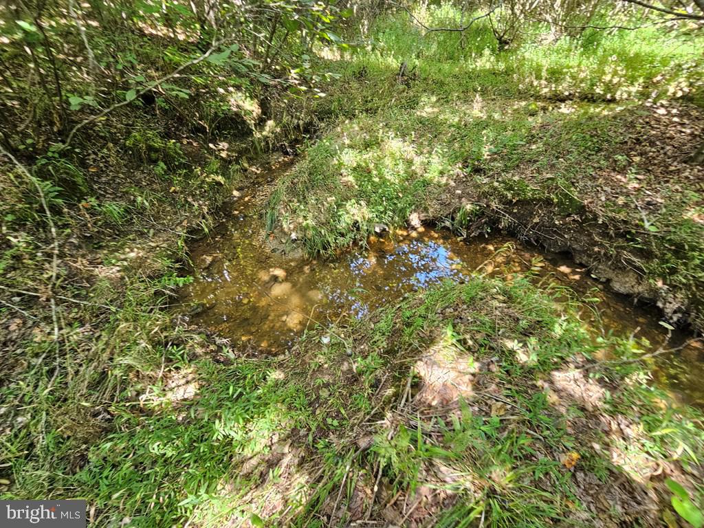 WEST JAMES ANDERSON HWY, GLADSTONE, Virginia 24553, ,Farm,For Sale,WEST JAMES ANDERSON HWY,VABH2000220 MLS # VABH2000220 WEST JAMES ANDERSON HWY, GLADSTONE, Virginia 24553, ,Farm,For Sale,WEST JAMES ANDERSON HWY,VABH2000220 MLS # VABH2000220