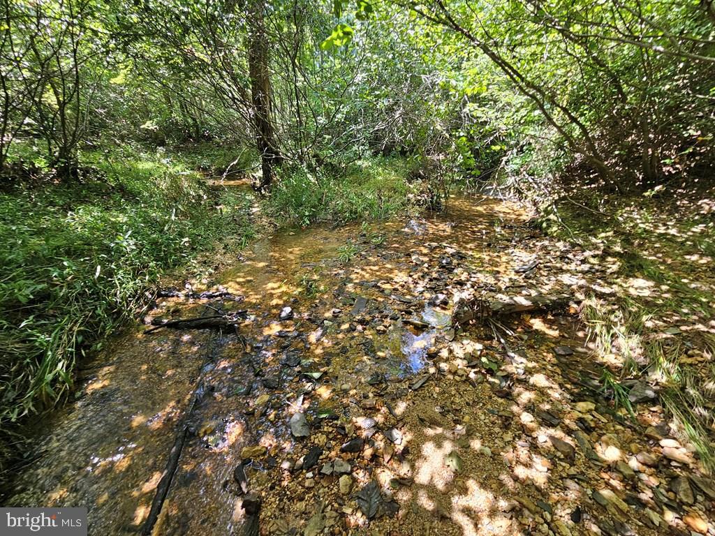 WEST JAMES ANDERSON HWY, GLADSTONE, Virginia 24553, ,Farm,For Sale,WEST JAMES ANDERSON HWY,VABH2000220 MLS # VABH2000220 WEST JAMES ANDERSON HWY, GLADSTONE, Virginia 24553, ,Farm,For Sale,WEST JAMES ANDERSON HWY,VABH2000220 MLS # VABH2000220