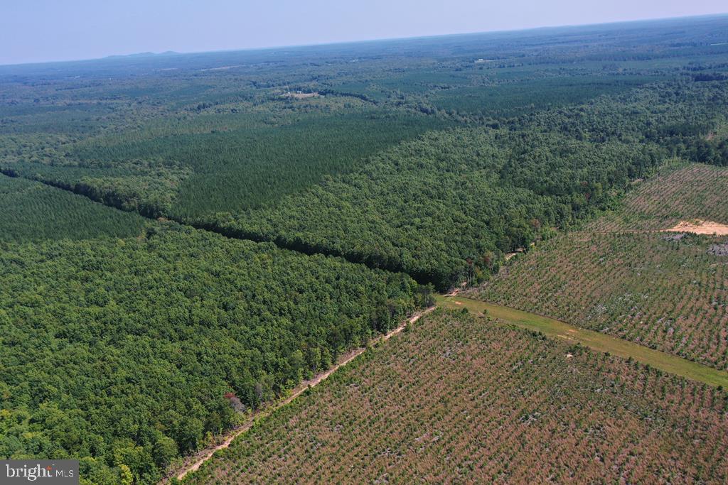WEST JAMES ANDERSON HWY, GLADSTONE, Virginia 24553, ,Farm,For Sale,WEST JAMES ANDERSON HWY,VABH2000220 MLS # VABH2000220 WEST JAMES ANDERSON HWY, GLADSTONE, Virginia 24553, ,Farm,For Sale,WEST JAMES ANDERSON HWY,VABH2000220 MLS # VABH2000220
