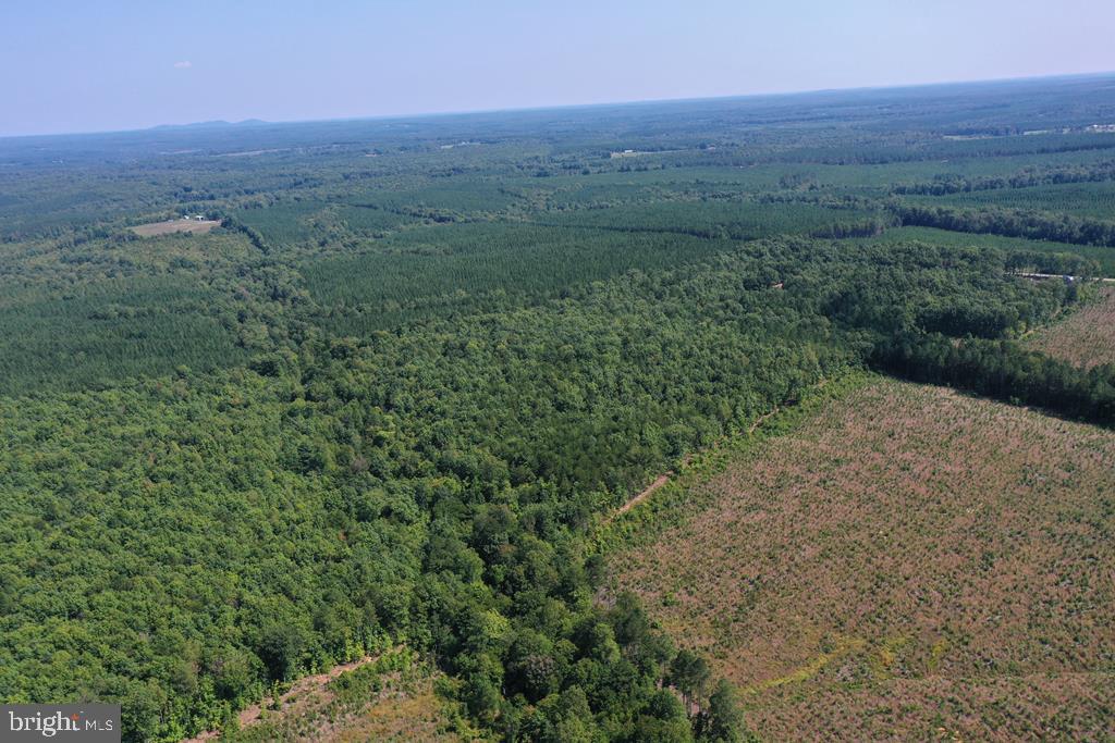 WEST JAMES ANDERSON HWY, GLADSTONE, Virginia 24553, ,Farm,For Sale,WEST JAMES ANDERSON HWY,VABH2000220 MLS # VABH2000220 WEST JAMES ANDERSON HWY, GLADSTONE, Virginia 24553, ,Farm,For Sale,WEST JAMES ANDERSON HWY,VABH2000220 MLS # VABH2000220