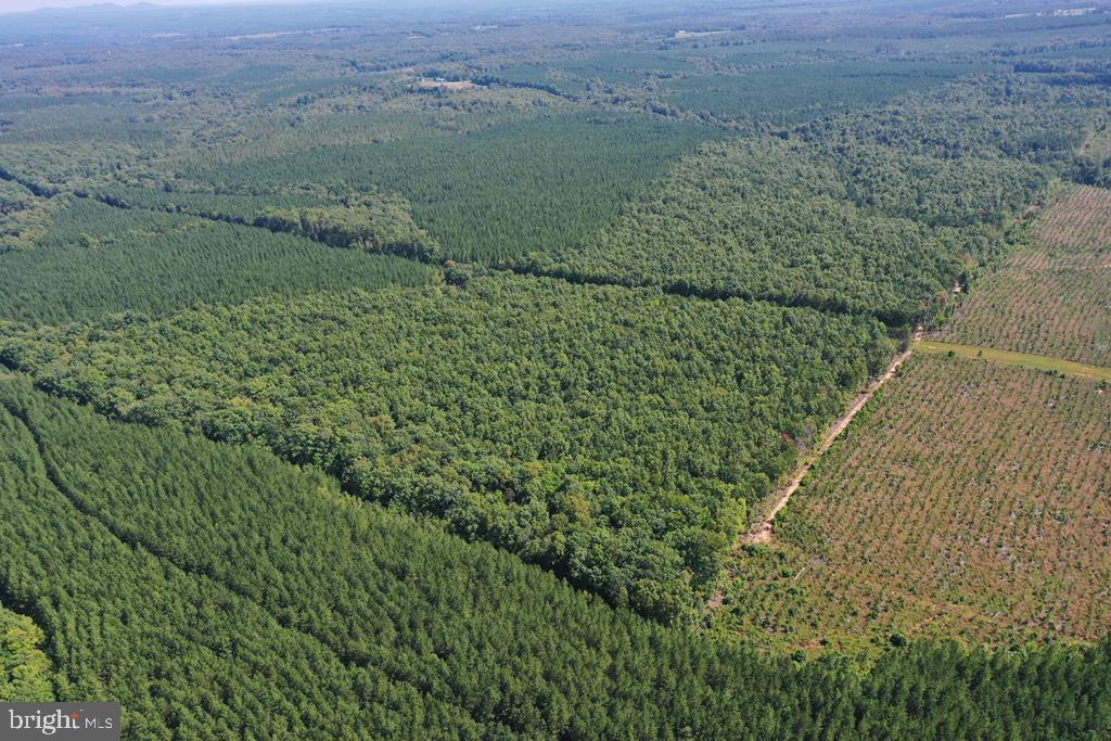 WEST JAMES ANDERSON HWY, GLADSTONE, Virginia 24553, ,Farm,For Sale,WEST JAMES ANDERSON HWY,VABH2000220 MLS # VABH2000220 WEST JAMES ANDERSON HWY, GLADSTONE, Virginia 24553, ,Farm,For Sale,WEST JAMES ANDERSON HWY,VABH2000220 MLS # VABH2000220