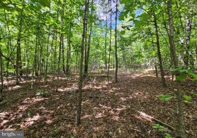 WEST JAMES ANDERSON HWY, GLADSTONE, Virginia 24553, ,Farm,For Sale,WEST JAMES ANDERSON HWY,VABH2000220 MLS # VABH2000220 WEST JAMES ANDERSON HWY, GLADSTONE, Virginia 24553, ,Farm,For Sale,WEST JAMES ANDERSON HWY,VABH2000220 MLS # VABH2000220