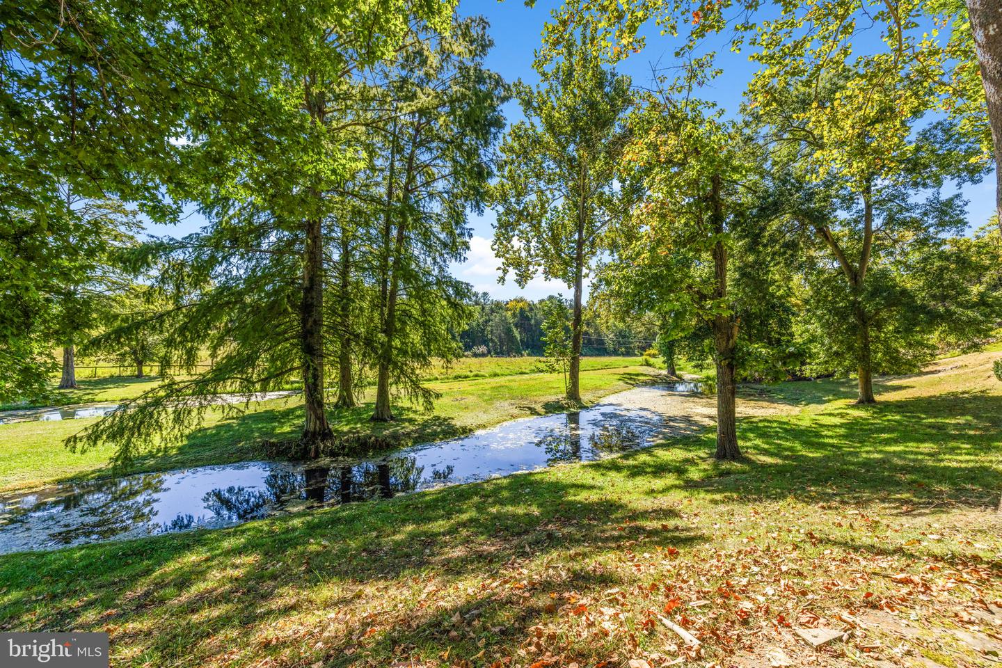 2479 ROCKLAND RD, FRONT ROYAL, Virginia 22630, 5 Bedrooms Bedrooms, ,3 BathroomsBathrooms,Residential,For Sale,2479 ROCKLAND RD,VAWR2011634 MLS # VAWR2011634 2479 ROCKLAND RD, FRONT ROYAL, Virginia 22630, 5 Bedrooms Bedrooms, ,3 BathroomsBathrooms,Residential,For Sale,2479 ROCKLAND RD,VAWR2011634 MLS # VAWR2011634