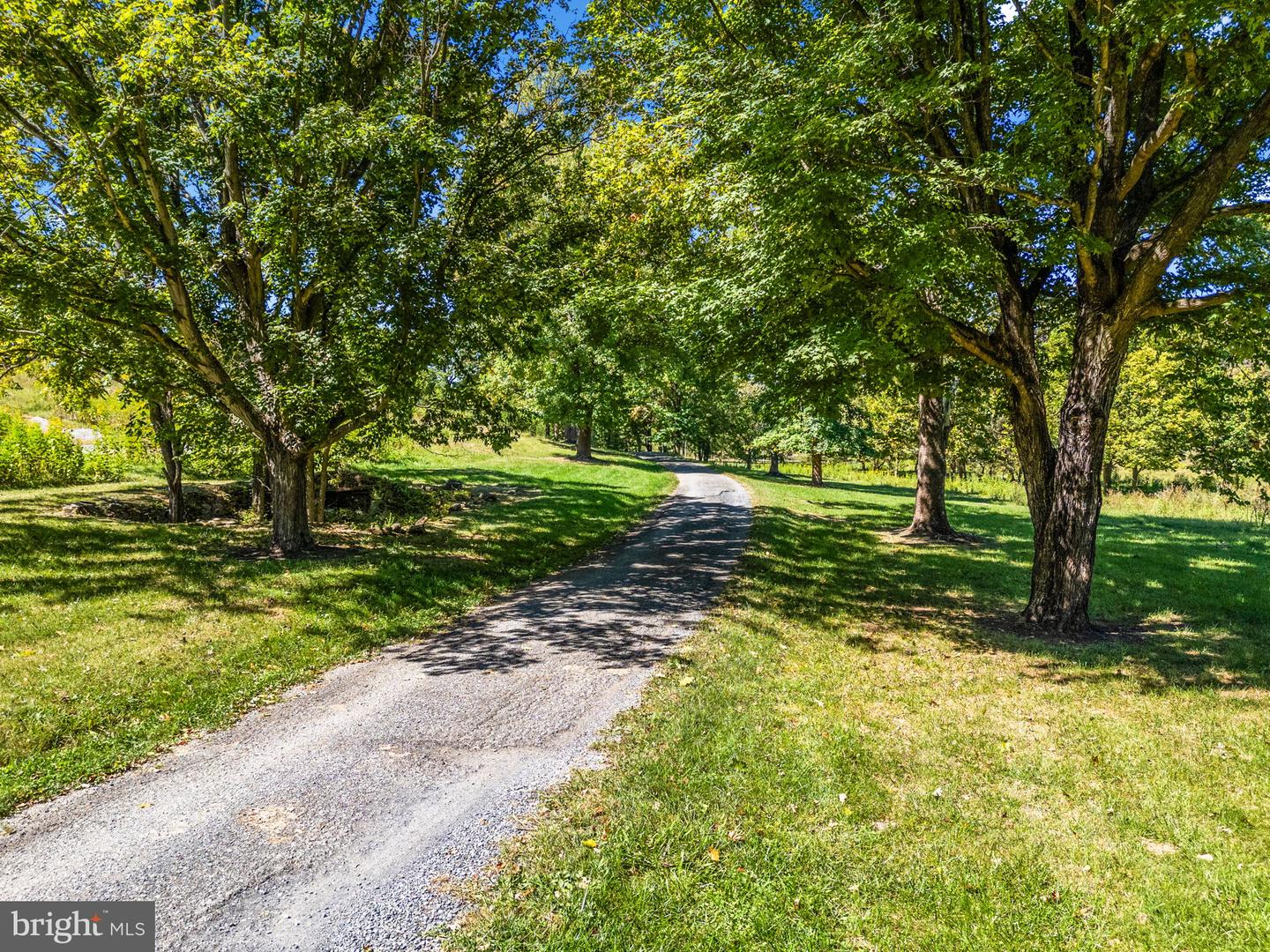 2479 ROCKLAND RD, FRONT ROYAL, Virginia 22630, 5 Bedrooms Bedrooms, ,3 BathroomsBathrooms,Residential,For Sale,2479 ROCKLAND RD,VAWR2011634 MLS # VAWR2011634 2479 ROCKLAND RD, FRONT ROYAL, Virginia 22630, 5 Bedrooms Bedrooms, ,3 BathroomsBathrooms,Residential,For Sale,2479 ROCKLAND RD,VAWR2011634 MLS # VAWR2011634