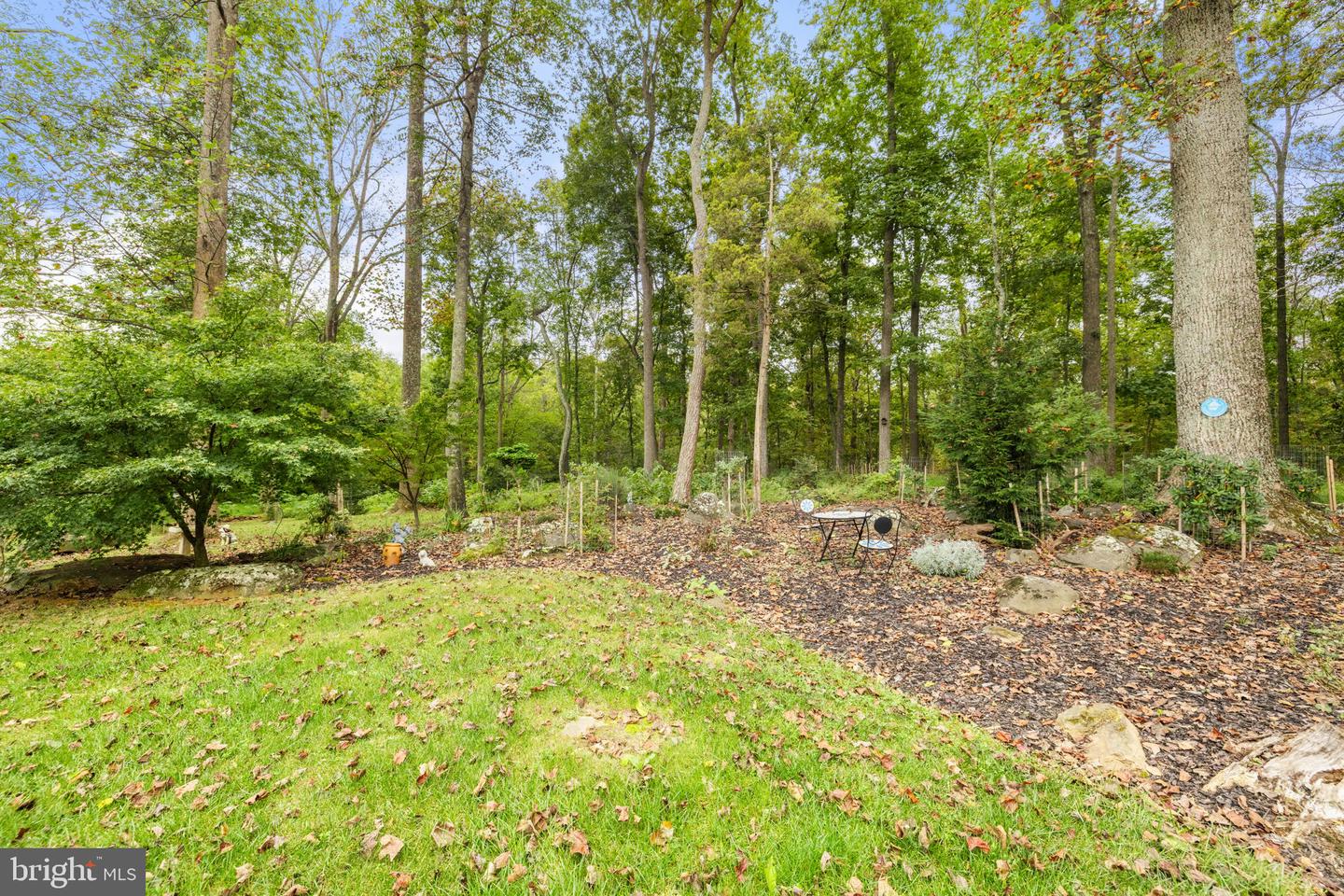 22011 BEAVERDAM DR, ASHBURN, Virginia 20148, 5 Bedrooms Bedrooms, ,5 BathroomsBathrooms,Residential,For Sale,22011 BEAVERDAM DR,VALO2107164 MLS # VALO2107164 22011 BEAVERDAM DR, ASHBURN, Virginia 20148, 5 Bedrooms Bedrooms, ,5 BathroomsBathrooms,Residential,For Sale,22011 BEAVERDAM DR,VALO2107164 MLS # VALO2107164