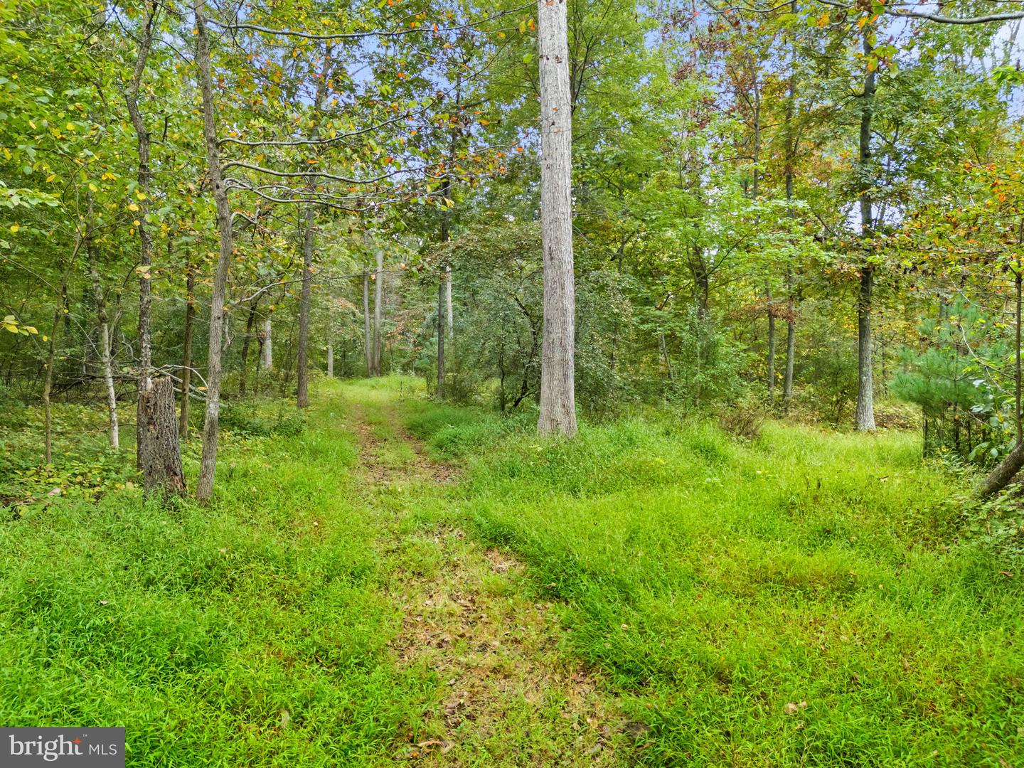 22011 BEAVERDAM DR, ASHBURN, Virginia 20148, 5 Bedrooms Bedrooms, ,5 BathroomsBathrooms,Residential,For Sale,22011 BEAVERDAM DR,VALO2107164 MLS # VALO2107164 22011 BEAVERDAM DR, ASHBURN, Virginia 20148, 5 Bedrooms Bedrooms, ,5 BathroomsBathrooms,Residential,For Sale,22011 BEAVERDAM DR,VALO2107164 MLS # VALO2107164