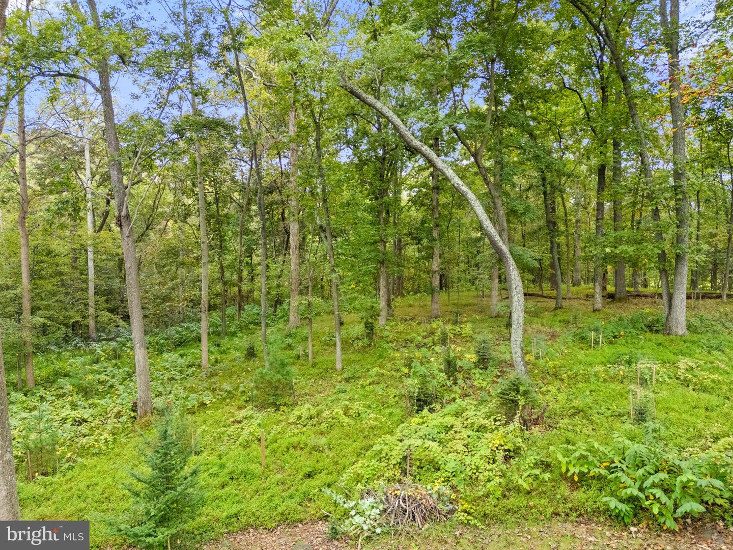 22011 BEAVERDAM DR, ASHBURN, Virginia 20148, 5 Bedrooms Bedrooms, ,5 BathroomsBathrooms,Residential,For Sale,22011 BEAVERDAM DR,VALO2107164 MLS # VALO2107164 22011 BEAVERDAM DR, ASHBURN, Virginia 20148, 5 Bedrooms Bedrooms, ,5 BathroomsBathrooms,Residential,For Sale,22011 BEAVERDAM DR,VALO2107164 MLS # VALO2107164