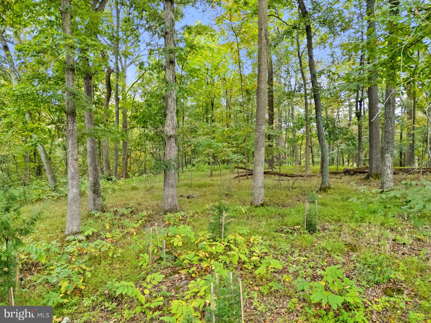 22011 BEAVERDAM DR, ASHBURN, Virginia 20148, 5 Bedrooms Bedrooms, ,5 BathroomsBathrooms,Residential,For Sale,22011 BEAVERDAM DR,VALO2107164 MLS # VALO2107164 22011 BEAVERDAM DR, ASHBURN, Virginia 20148, 5 Bedrooms Bedrooms, ,5 BathroomsBathrooms,Residential,For Sale,22011 BEAVERDAM DR,VALO2107164 MLS # VALO2107164