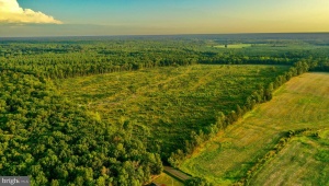 0 OLD MILL RD, MIDLAND, Virginia 22728, ,Farm,For Sale,0 OLD MILL RD,VAFQ2016622 MLS # VAFQ2016622