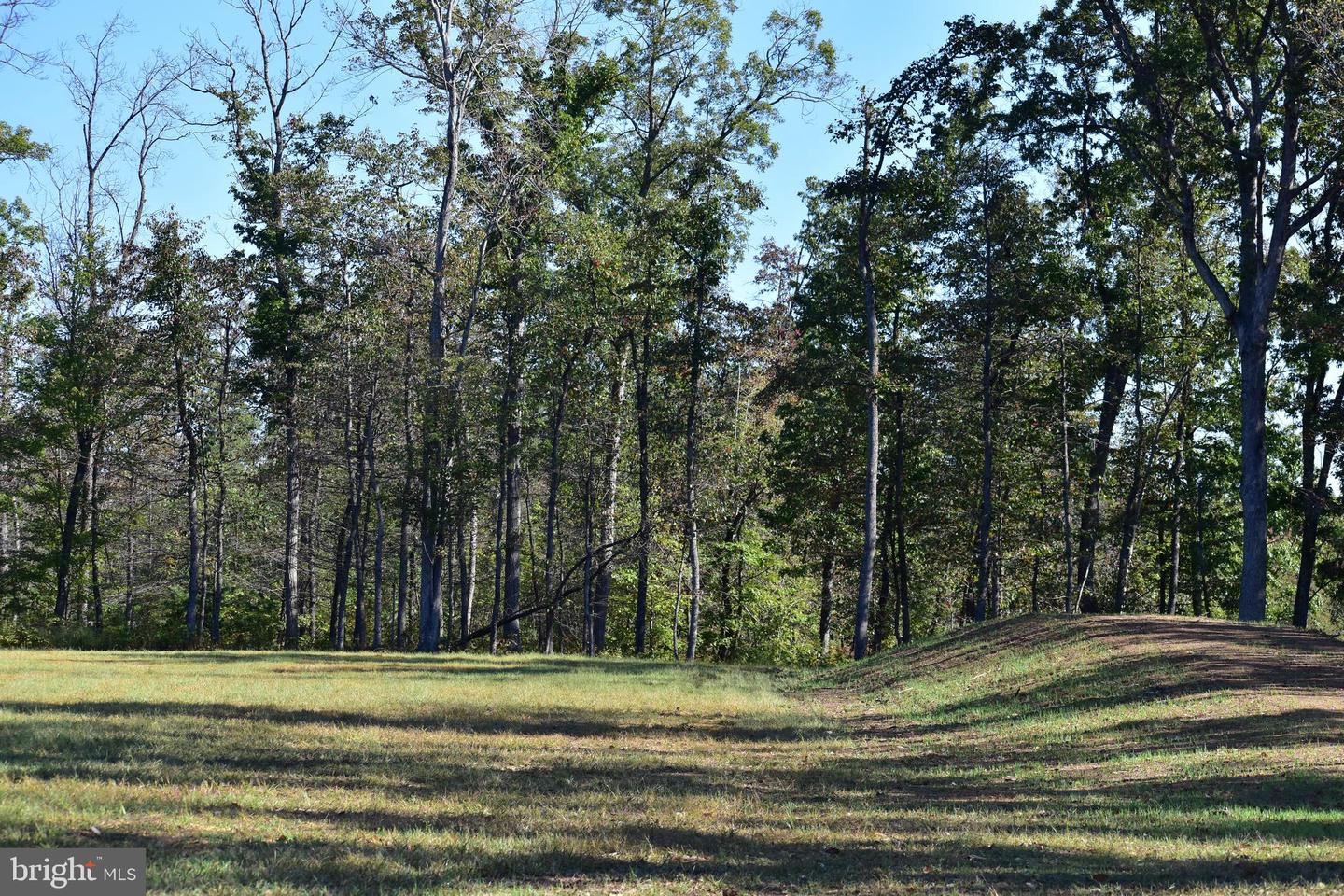 439 ACRES LAUREL GROVE RD., WINCHESTER, Virginia 22602, ,Farm,For Sale,439 ACRES LAUREL GROVE RD.,VAFV2024650 MLS # VAFV2024650