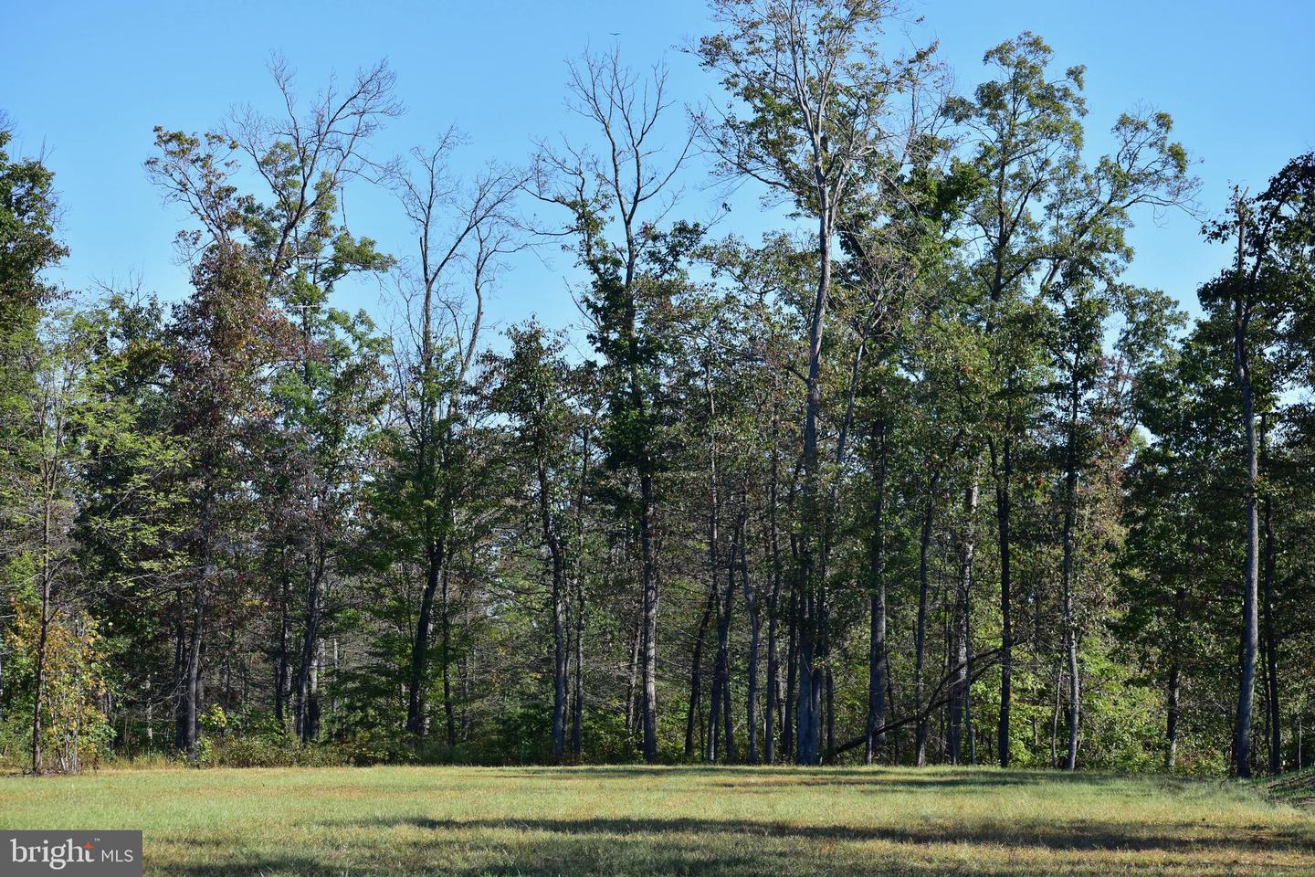 439 ACRES LAUREL GROVE RD., WINCHESTER, Virginia 22602, ,Farm,For Sale,439 ACRES LAUREL GROVE RD.,VAFV2024650 MLS # VAFV2024650