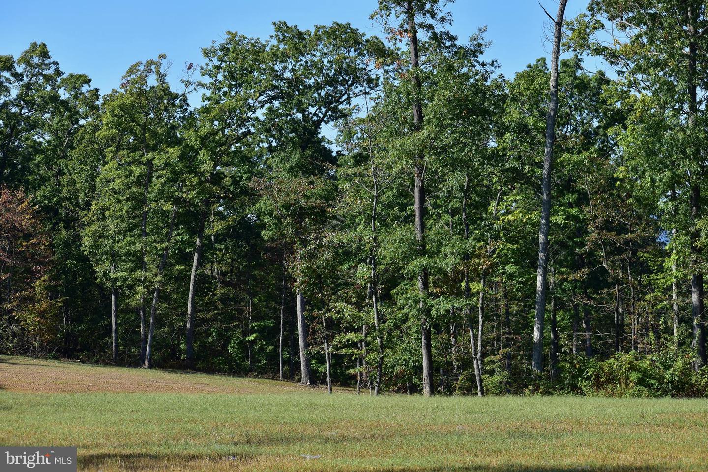 439 ACRES LAUREL GROVE RD., WINCHESTER, Virginia 22602, ,Farm,For Sale,439 ACRES LAUREL GROVE RD.,VAFV2024650 MLS # VAFV2024650