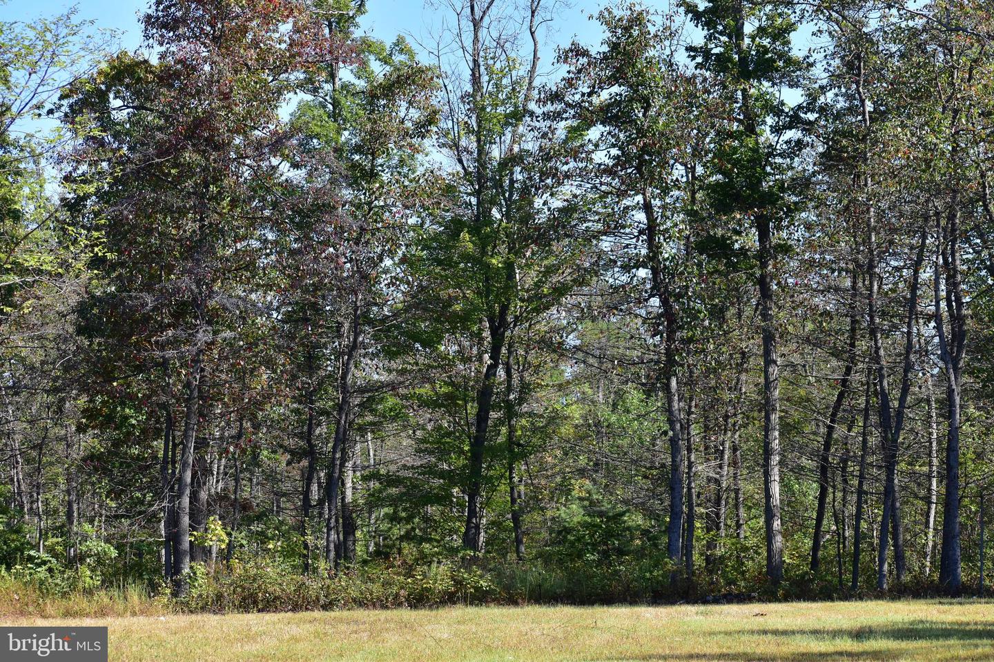 439 ACRES LAUREL GROVE RD., WINCHESTER, Virginia 22602, ,Farm,For Sale,439 ACRES LAUREL GROVE RD.,VAFV2024650 MLS # VAFV2024650