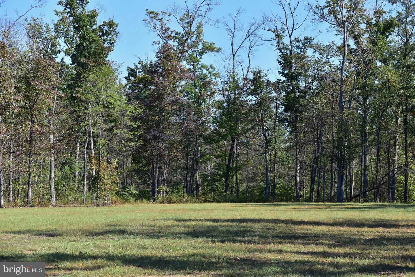 439 ACRES LAUREL GROVE RD., WINCHESTER, Virginia 22602, ,Farm,For Sale,439 ACRES LAUREL GROVE RD.,VAFV2024650 MLS # VAFV2024650