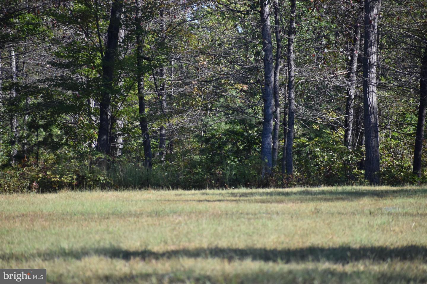 439 ACRES LAUREL GROVE RD., WINCHESTER, Virginia 22602, ,Farm,For Sale,439 ACRES LAUREL GROVE RD.,VAFV2024650 MLS # VAFV2024650