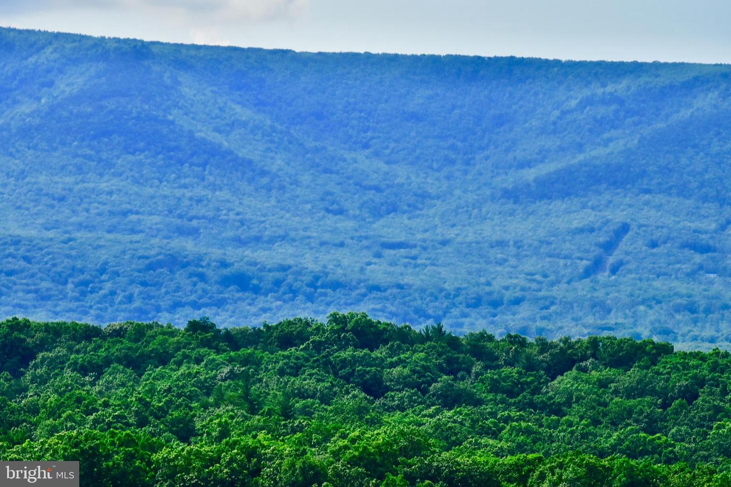 439 ACRES LAUREL GROVE RD., WINCHESTER, Virginia 22602, ,Farm,For Sale,439 ACRES LAUREL GROVE RD.,VAFV2024650 MLS # VAFV2024650