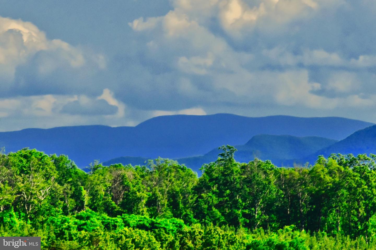 439 ACRES LAUREL GROVE RD., WINCHESTER, Virginia 22602, ,Farm,For Sale,439 ACRES LAUREL GROVE RD.,VAFV2024650 MLS # VAFV2024650