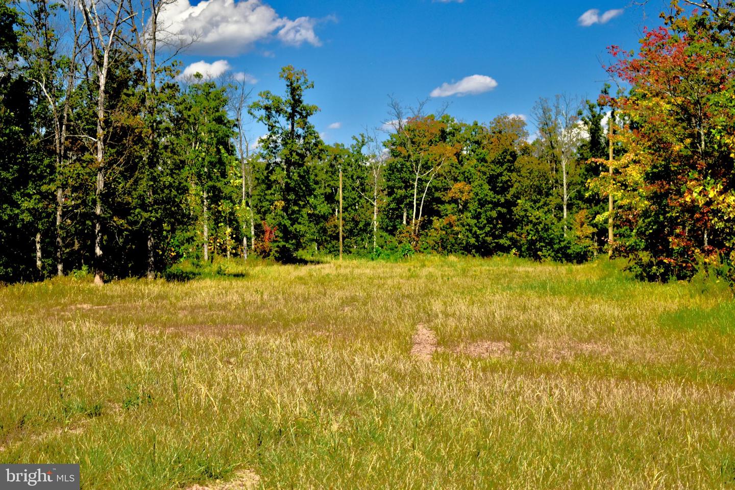 439 ACRES LAUREL GROVE RD., WINCHESTER, Virginia 22602, ,Farm,For Sale,439 ACRES LAUREL GROVE RD.,VAFV2024650 MLS # VAFV2024650
