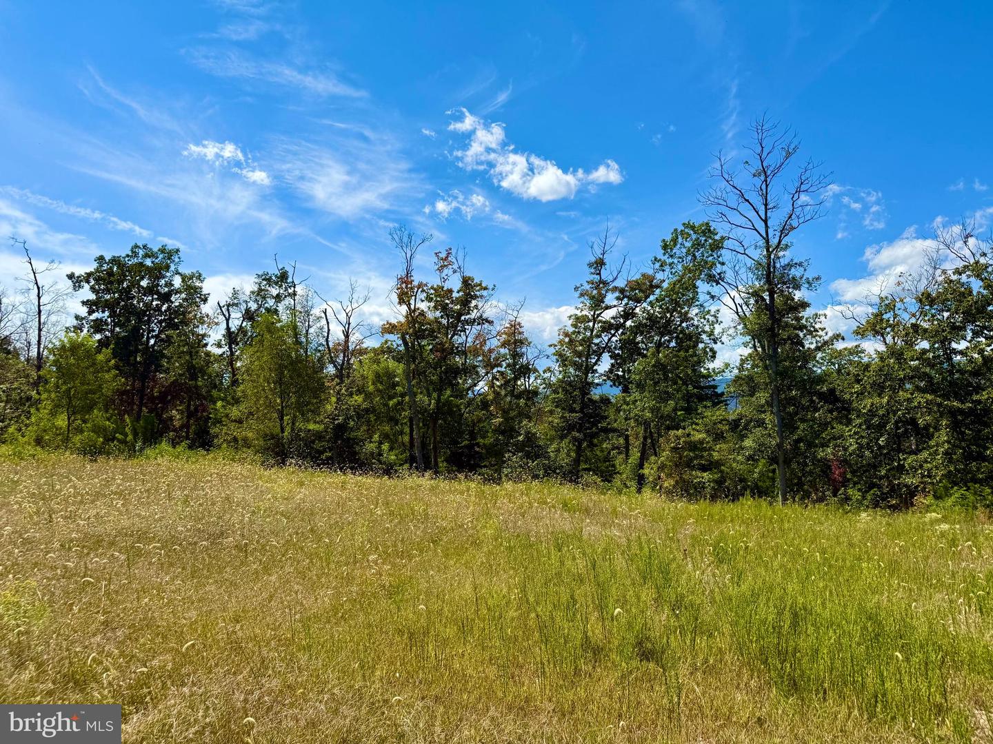 439 ACRES LAUREL GROVE RD., WINCHESTER, Virginia 22602, ,Farm,For Sale,439 ACRES LAUREL GROVE RD.,VAFV2024650 MLS # VAFV2024650