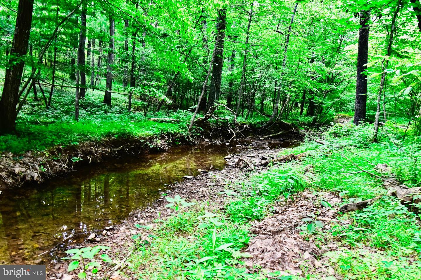 439 ACRES LAUREL GROVE RD., WINCHESTER, Virginia 22602, ,Farm,For Sale,439 ACRES LAUREL GROVE RD.,VAFV2024650 MLS # VAFV2024650