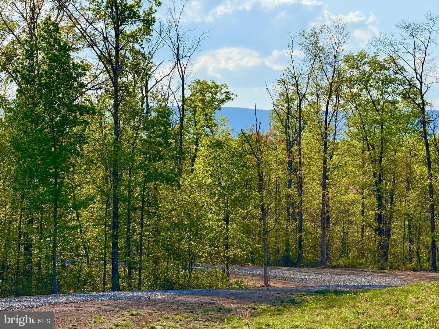 439 ACRES LAUREL GROVE RD., WINCHESTER, Virginia 22602, ,Farm,For Sale,439 ACRES LAUREL GROVE RD.,VAFV2024650 MLS # VAFV2024650