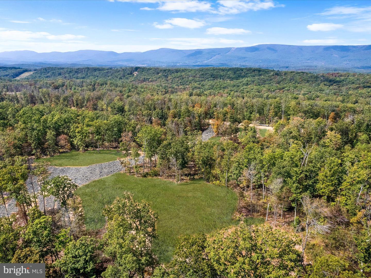 439 ACRES LAUREL GROVE RD., WINCHESTER, Virginia 22602, ,Farm,For Sale,439 ACRES LAUREL GROVE RD.,VAFV2024650 MLS # VAFV2024650