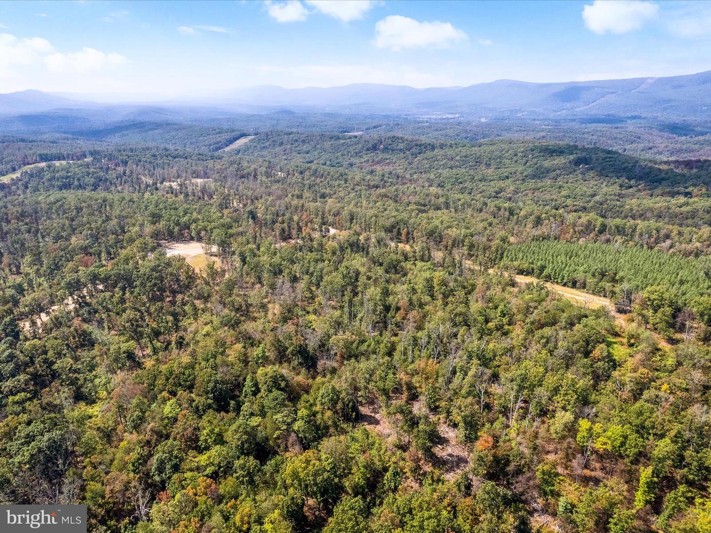 439 ACRES LAUREL GROVE RD., WINCHESTER, Virginia 22602, ,Farm,For Sale,439 ACRES LAUREL GROVE RD.,VAFV2024650 MLS # VAFV2024650