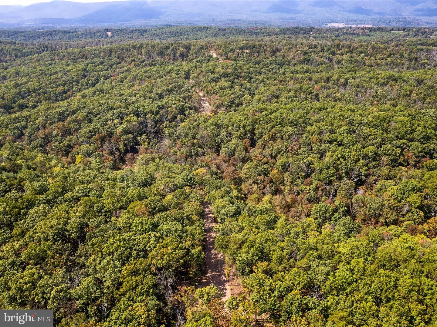 439 ACRES LAUREL GROVE RD., WINCHESTER, Virginia 22602, ,Farm,For Sale,439 ACRES LAUREL GROVE RD.,VAFV2024650 MLS # VAFV2024650