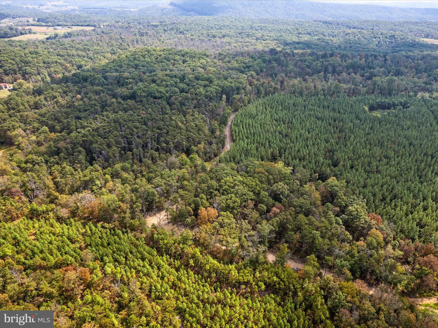 439 ACRES LAUREL GROVE RD., WINCHESTER, Virginia 22602, ,Farm,For Sale,439 ACRES LAUREL GROVE RD.,VAFV2024650 MLS # VAFV2024650