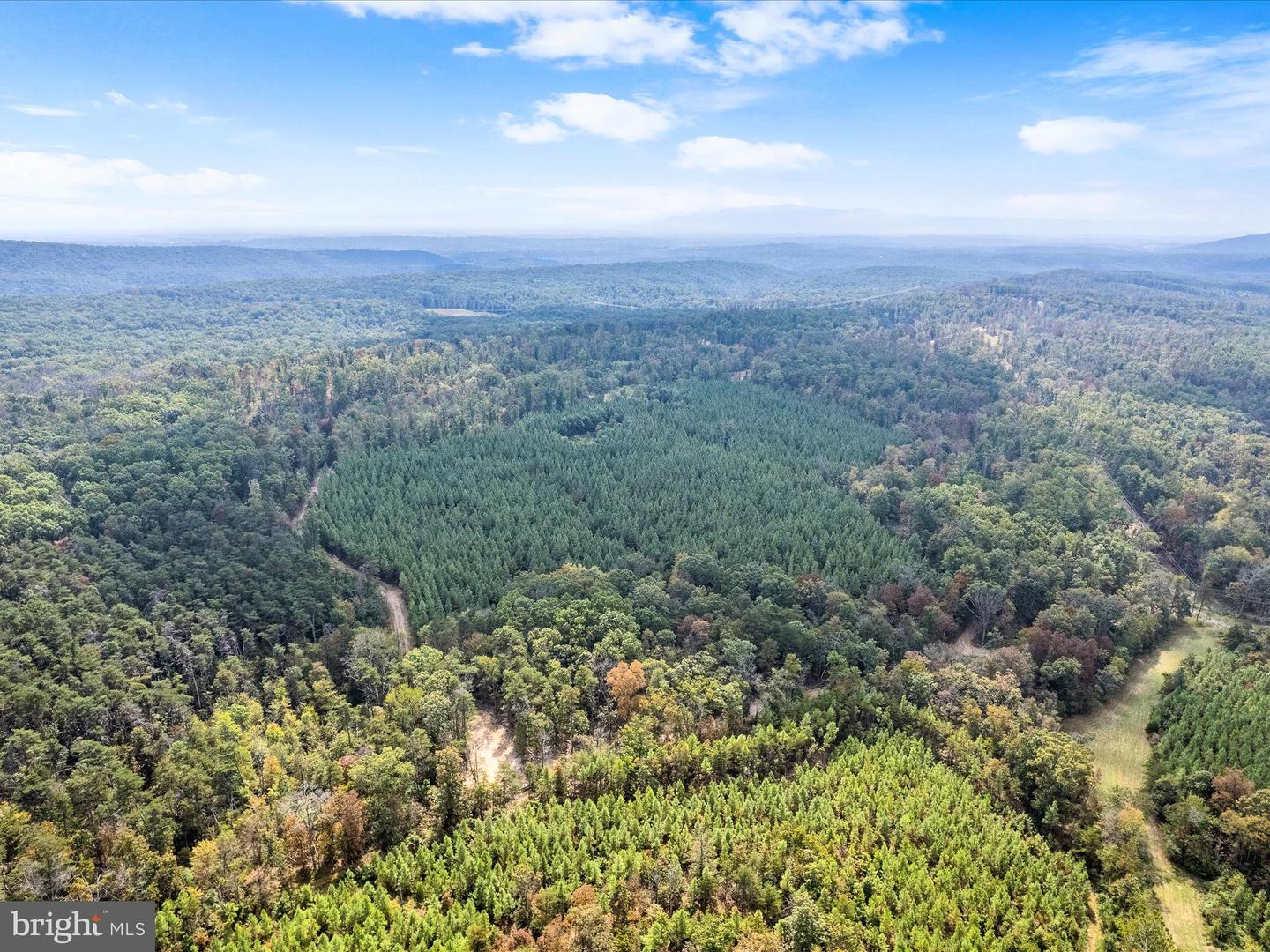 439 ACRES LAUREL GROVE RD., WINCHESTER, Virginia 22602, ,Farm,For Sale,439 ACRES LAUREL GROVE RD.,VAFV2024650 MLS # VAFV2024650